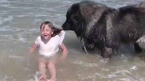 Dog saves his little girl