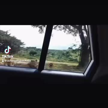 Uber eats just came with his food …😂