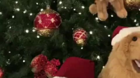 Golden Retriever Christmas Present