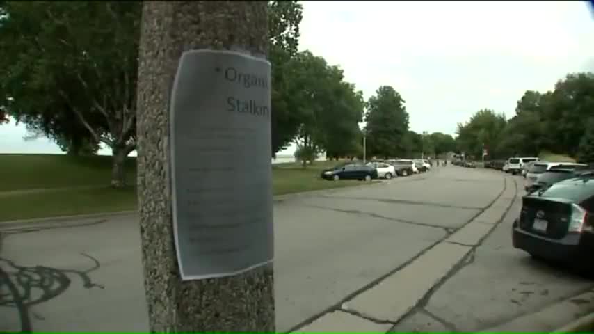 Organized Stalking News 13