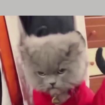 I'm offended by you white