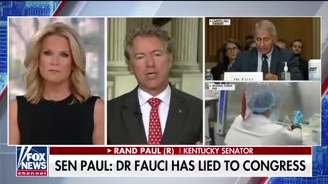 Sen. Rand Paul: Files DOJ criminal investigation against Dr. Fauci