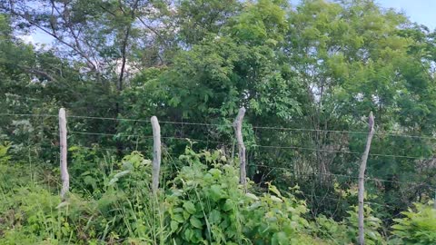 Nós na estrada PB
