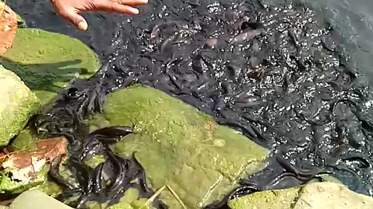Talab kbhi sukhata nhi hia
