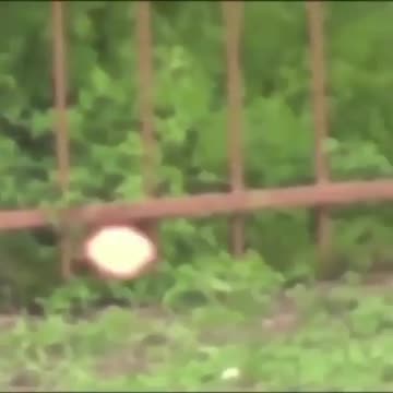 Amazing UFO hunting in Vienna, Austria