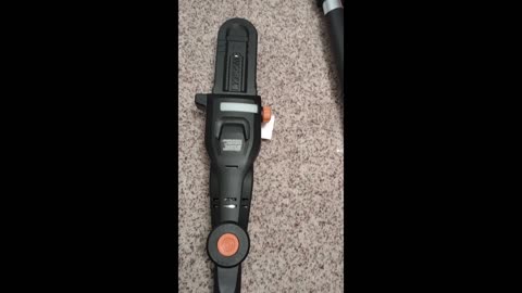 Worx cordless 20V Power Share 8" Pole Saw - model WG349 - unboxing and demonstration