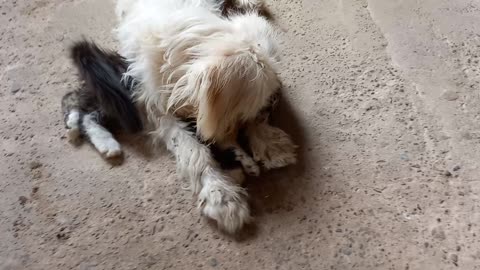 Los dos se quieren 😊