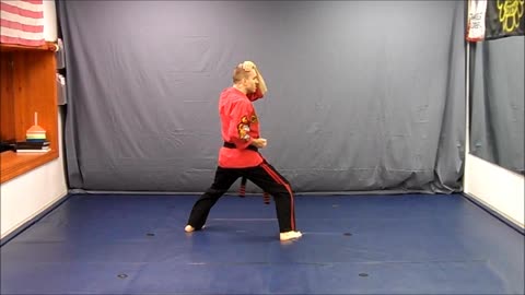 Basic Skillz Orange Belt - Orange Stripe