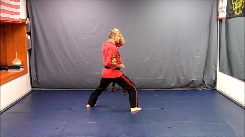 Basic Skillz Orange Belt - Orange Stripe