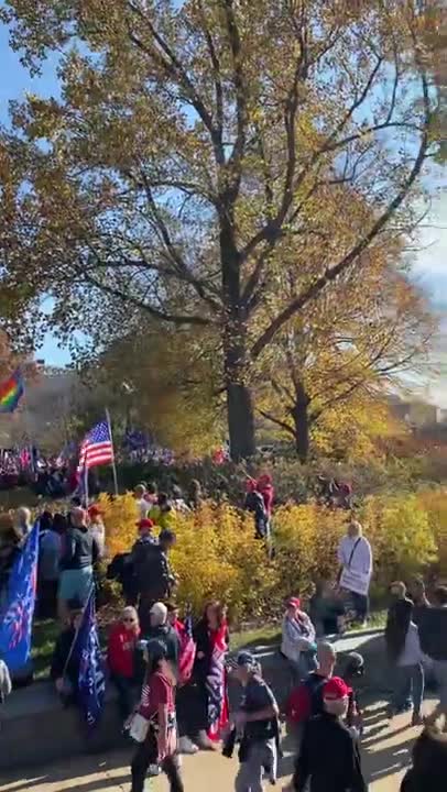 Million MAGA March Alex Jones Epic! pt.2