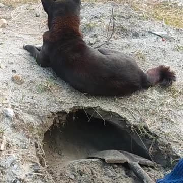 funny|prank|jokes|funny jokes|dad jokes|funny memes|funny video|fun|laughing|funny animal|knock