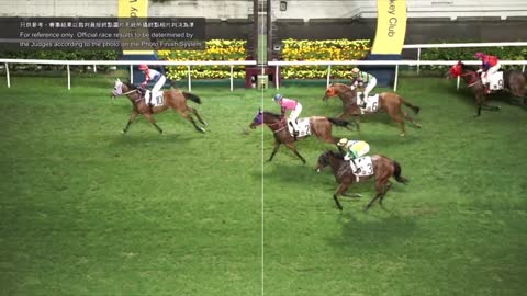 Horce_Race_2022051103_English