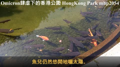 Omicron 肆虐下的香港公園 Omicroned HongKong Park, 2022.02.27, mhp2054, Feb 2022 #香港公園