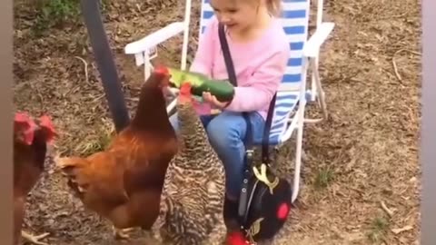 "Bird Trouble in Playground & Hen Eating Fruit - Funniest Compilation"