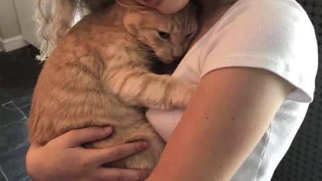 See how cat and human are best friends