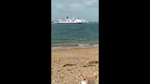 Watching Boats Go By 🛥