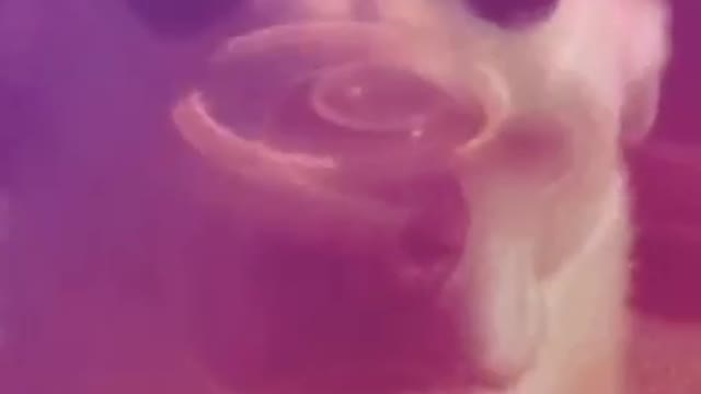 George balancing spinner w/ music