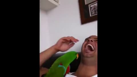 Parrot Says F*#K JoE Biden!