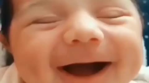 cute chubby baby - funny video