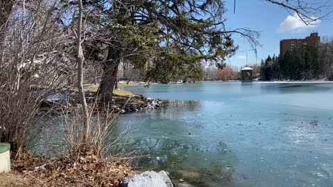 Nature Sounds for Relaxation Bowness Park