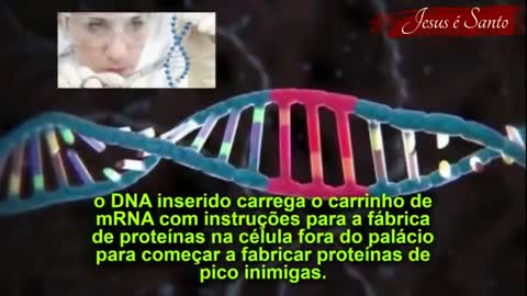 As vacinas alteram o DNA