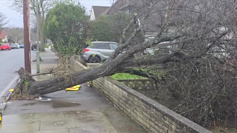 Storm Darragh hits UK! horse guards closed the horses inside for their own safety