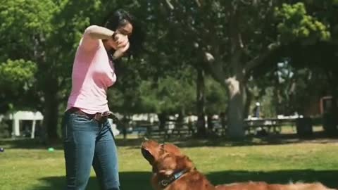 Woman Playing With Her Dog, On The Training Period.