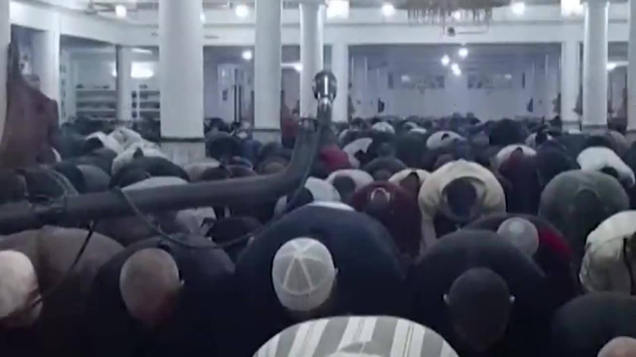 Cat jumps on sheikh leading prayer. See his reaction