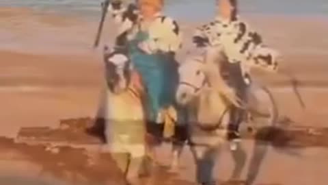 Capital of horses in China