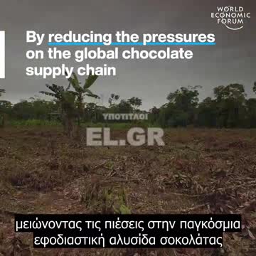 Αυτή η ελβετική σοκολάτα αναπτύχθηκε σε εργαστήριο