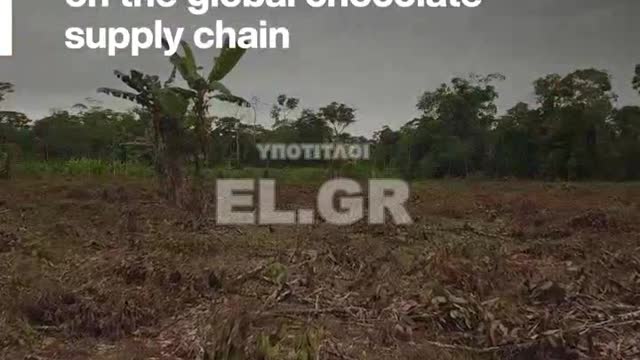 Αυτή η ελβετική σοκολάτα αναπτύχθηκε σε εργαστήριο