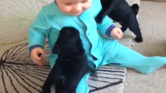 cute baby and puppy kissing 😍💋💋