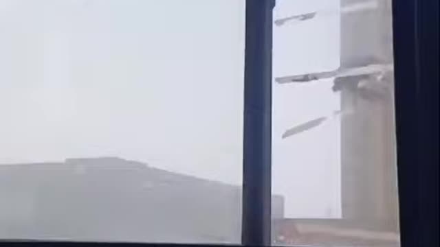 Alguém sabe onde encontro um pássaro desse