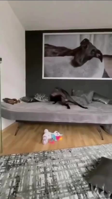 Love my new toy 🤣😂🤣