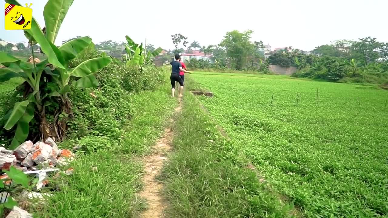 Best comedy videos|| Try not to laugh