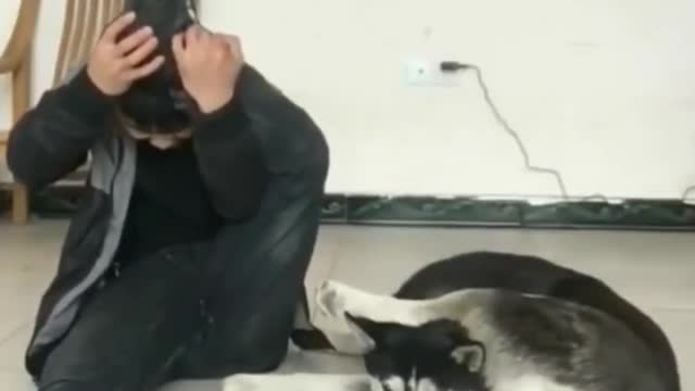 Doggo imitates Owner