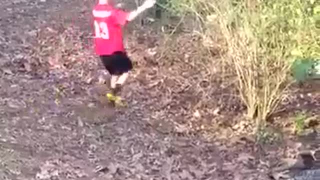 When the animals get angry.