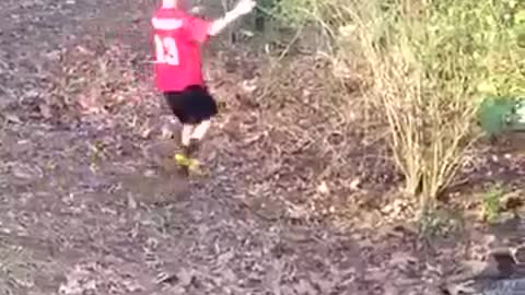 When the animals get angry.