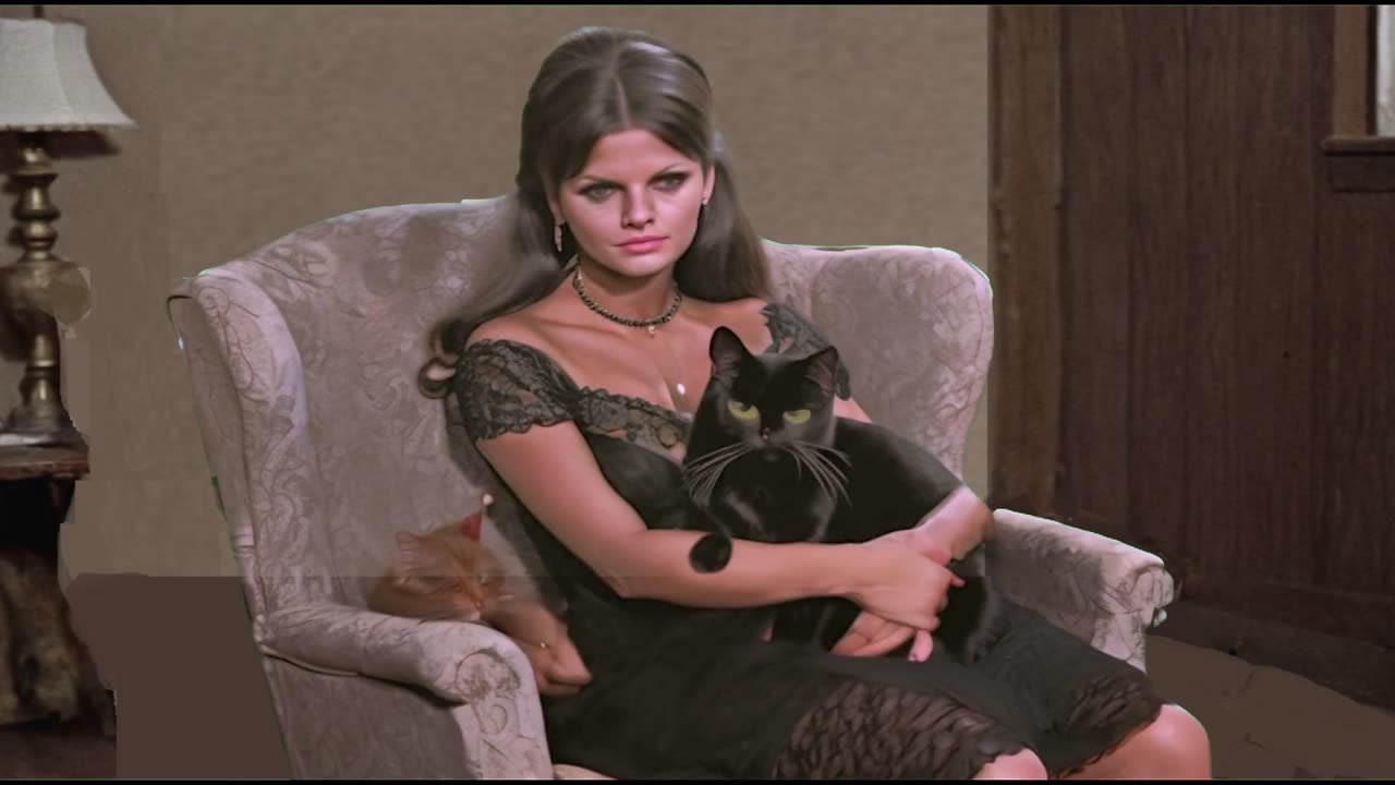 THE INCREDIBLE SHINKNG WAITRESS