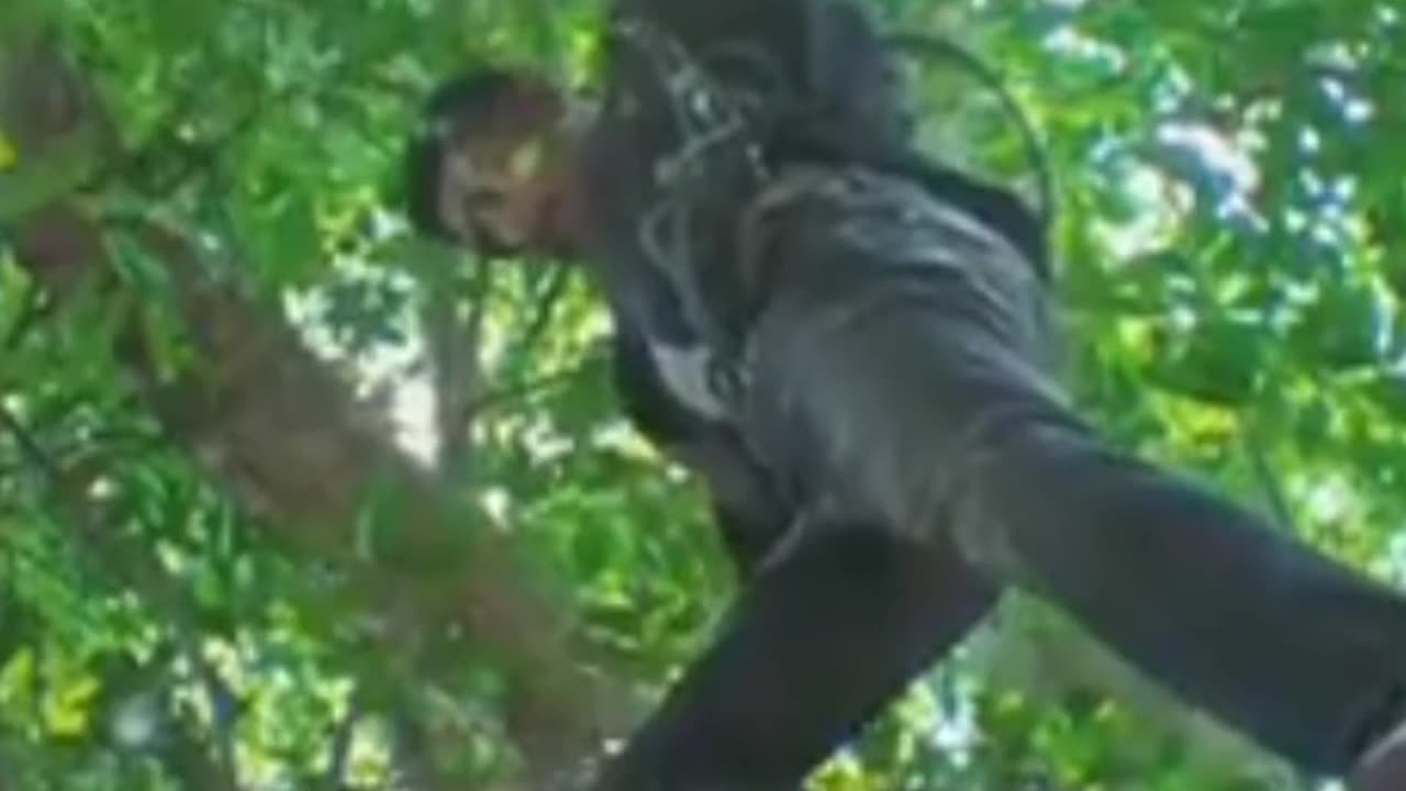 Bollywood movie part best scene action shorts move