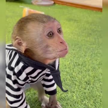 Chinese Funny Video,Tik tok China