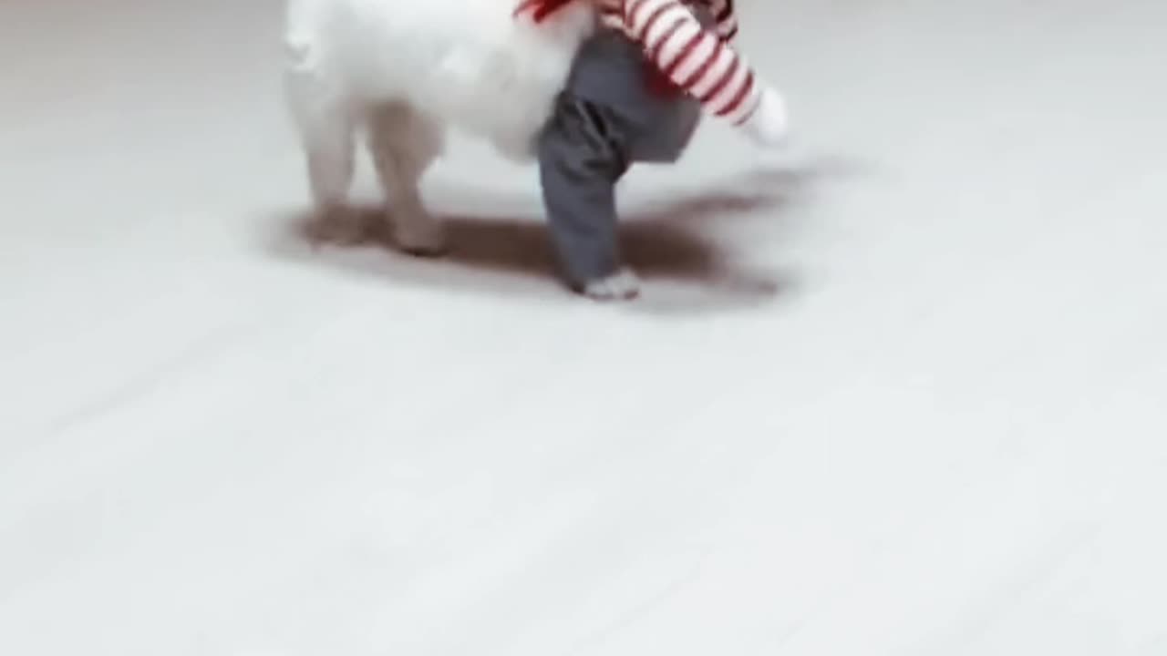 New, Fresh, funny videos for our kids viewers 😄🤣 Watch Till End & Enjoy.