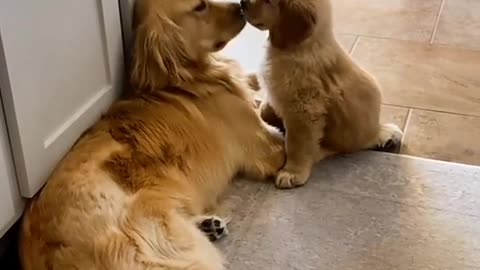 I will repay you for the rest of my life