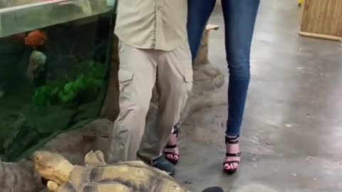 Famous zoo guard made amazing funny video