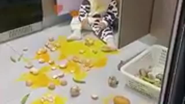 Best Funny Video in the World Viral Video