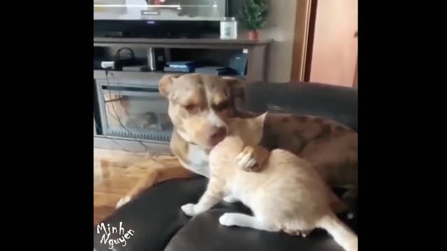 CUTE PETS SERIES: BEST FRIEND