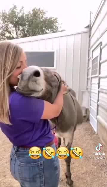 Donkey man funny hahaha