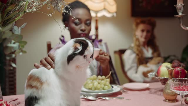 Women Petting Their Cats