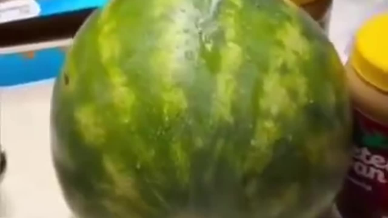 What the hell is going on with Watermelons this year?