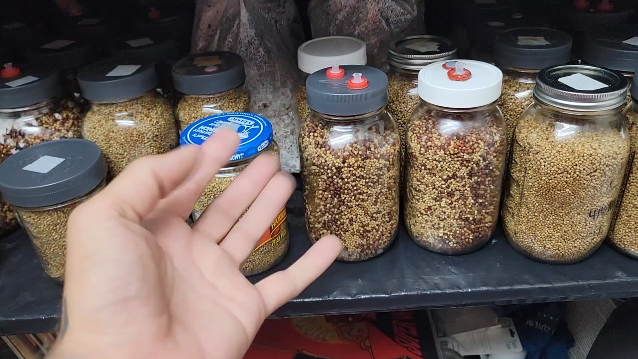 Mycology lesson. MSS>cleanup>starterjar>g2g